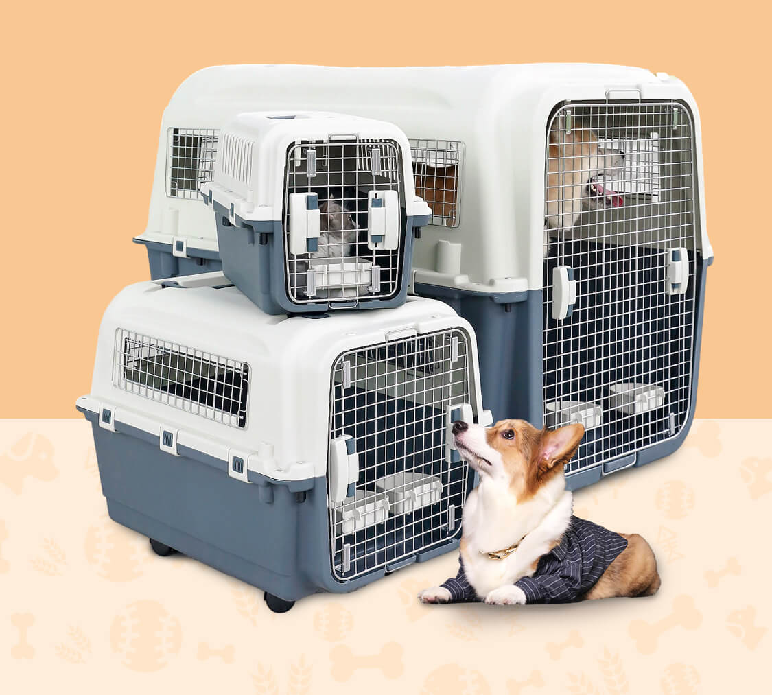 Dogs safely settled in travel crates ready for delivery